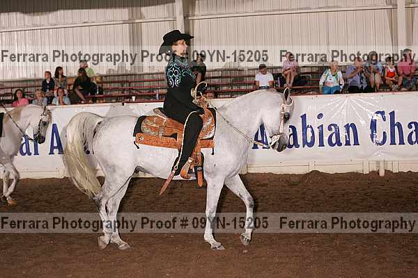 Proof 09yn-15205