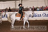 09yn-15205 proof