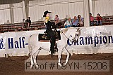 09yn-15206 proof