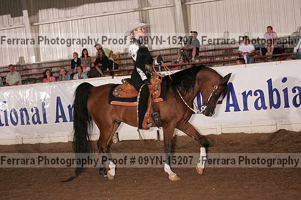 Proof 09yn-15207