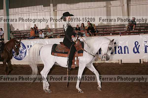 Proof 09yn-15209