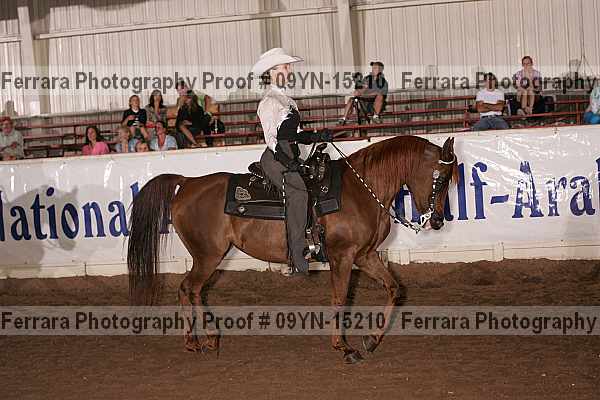 Proof 09yn-15210