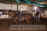 09yn-15212 proof