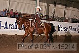 09yn-15214 proof