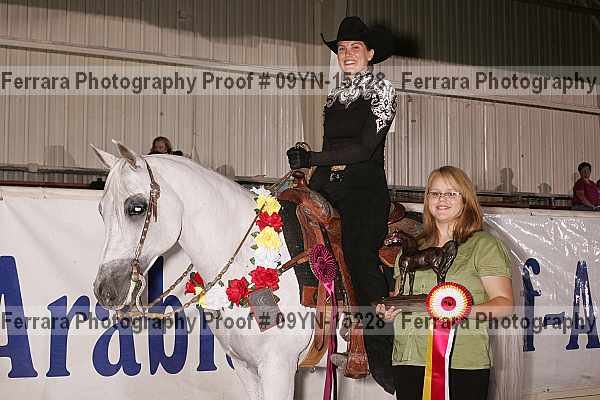 Proof 09yn-15228