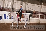 09yn-15233 proof