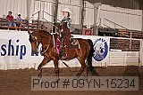09yn-15234 proof