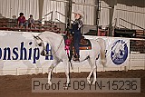 09yn-15236 proof