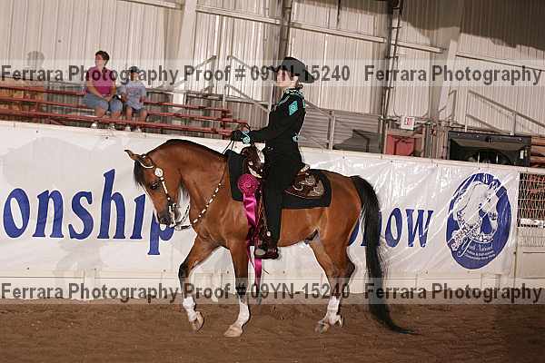 Proof 09yn-15240