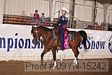 09yn-15242 proof
