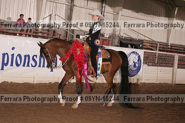 Proof 09yn-15244