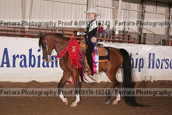 Proof 09yn-15245