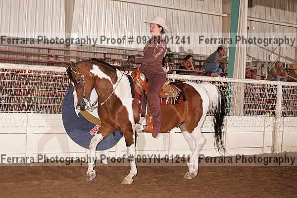 Proof 09yn-01241