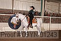 09yn-01243 proof