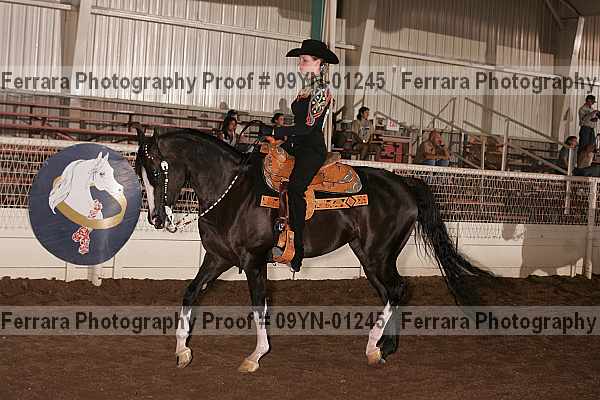 Proof 09yn-01245