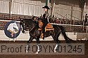 09yn-01245 proof
