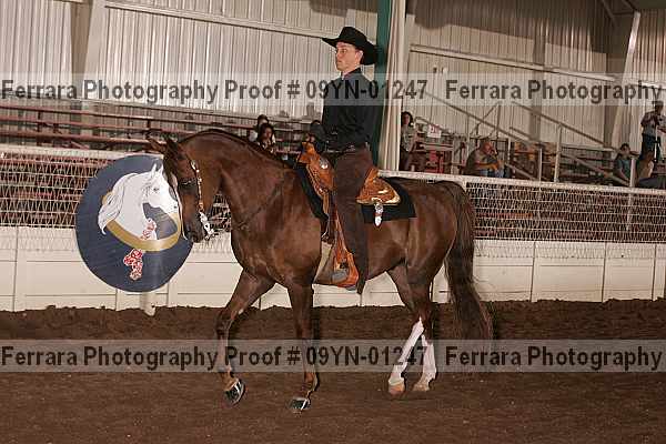 Proof 09yn-01247