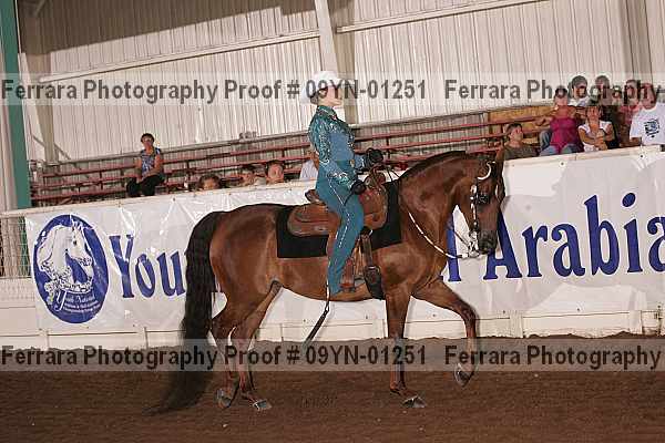 Proof 09yn-01251