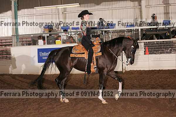 Proof 09yn-01252