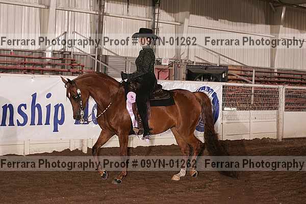 Proof 09yn-01262