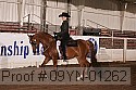 09yn-01262 proof