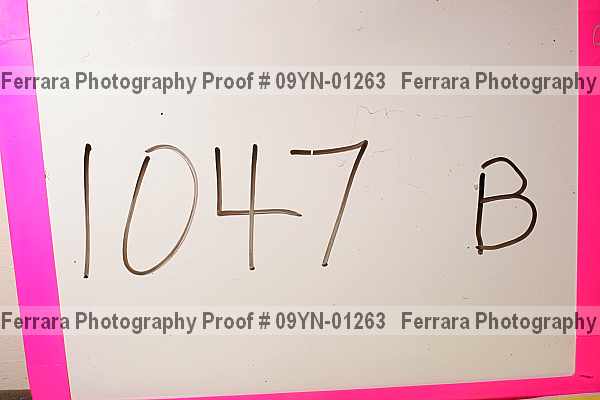 Proof 09yn-01263