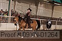 09yn-01264 proof