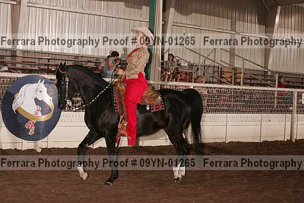 Proof 09yn-01265