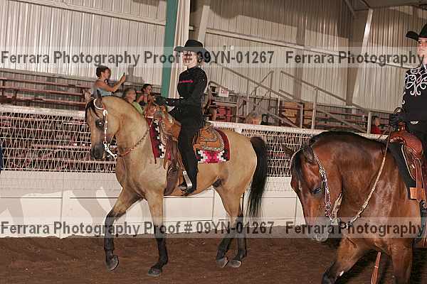 Proof 09yn-01267