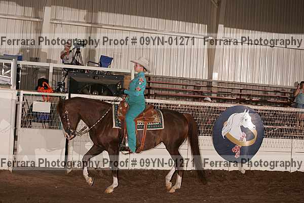 Proof 09yn-01271