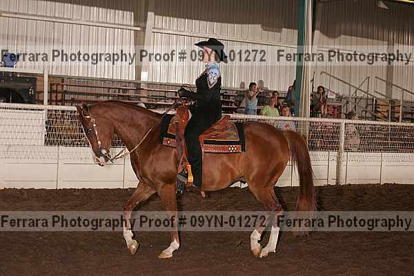 Proof 09yn-01272
