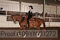 09yn-01272 proof