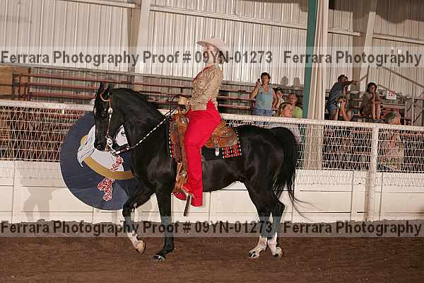 Proof 09yn-01273