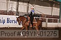 09yn-01275 proof