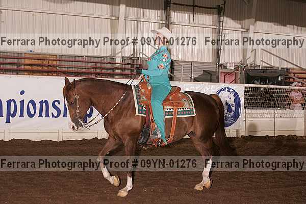 Proof 09yn-01276