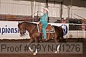 09yn-01276 proof