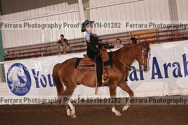 Proof 09yn-01282