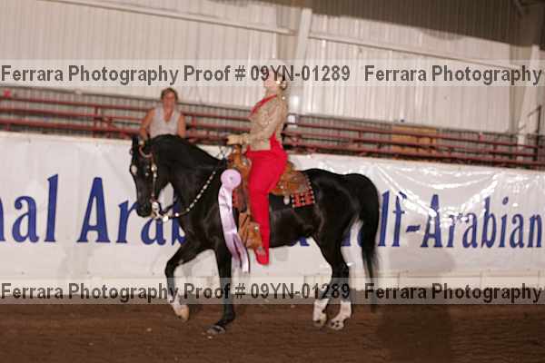 Proof 09yn-01289