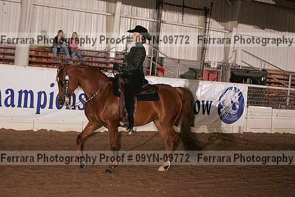 Proof 09yn-09772