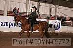 09yn-09772 proof