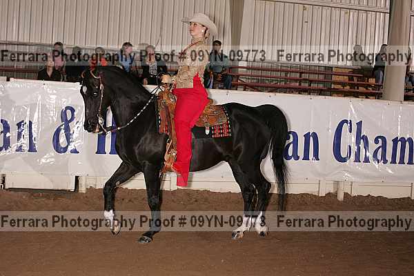Proof 09yn-09773