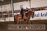 09yn-09781 proof