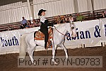 09yn-09783 proof