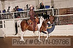 09yn-09786 proof