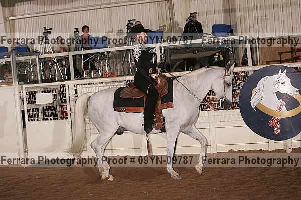 Proof 09yn-09787
