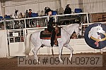 09yn-09787 proof