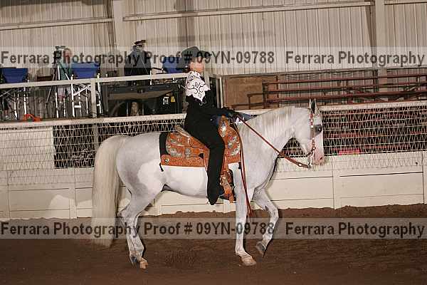 Proof 09yn-09788