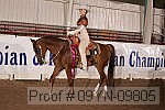 09yn-09805 proof