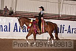 09yn-09813 proof