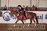 09yn-09814 proof